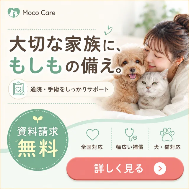サンプルバナー